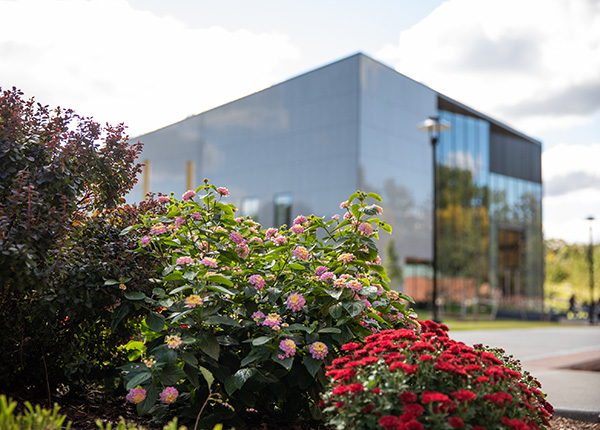 Flowers around Hursey building